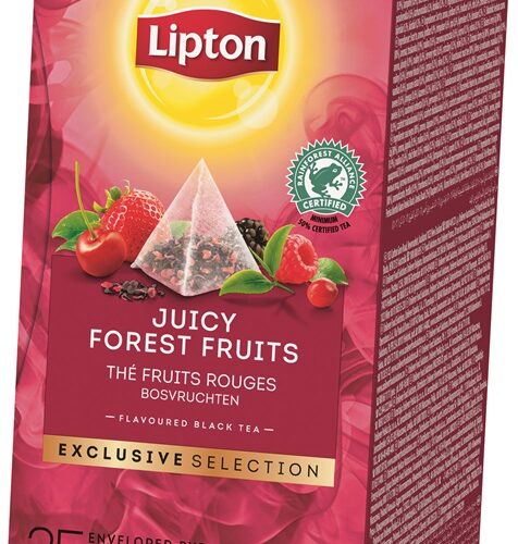Lipton Exclusive Selection Bosvruchten 1,7gr (per 25)
